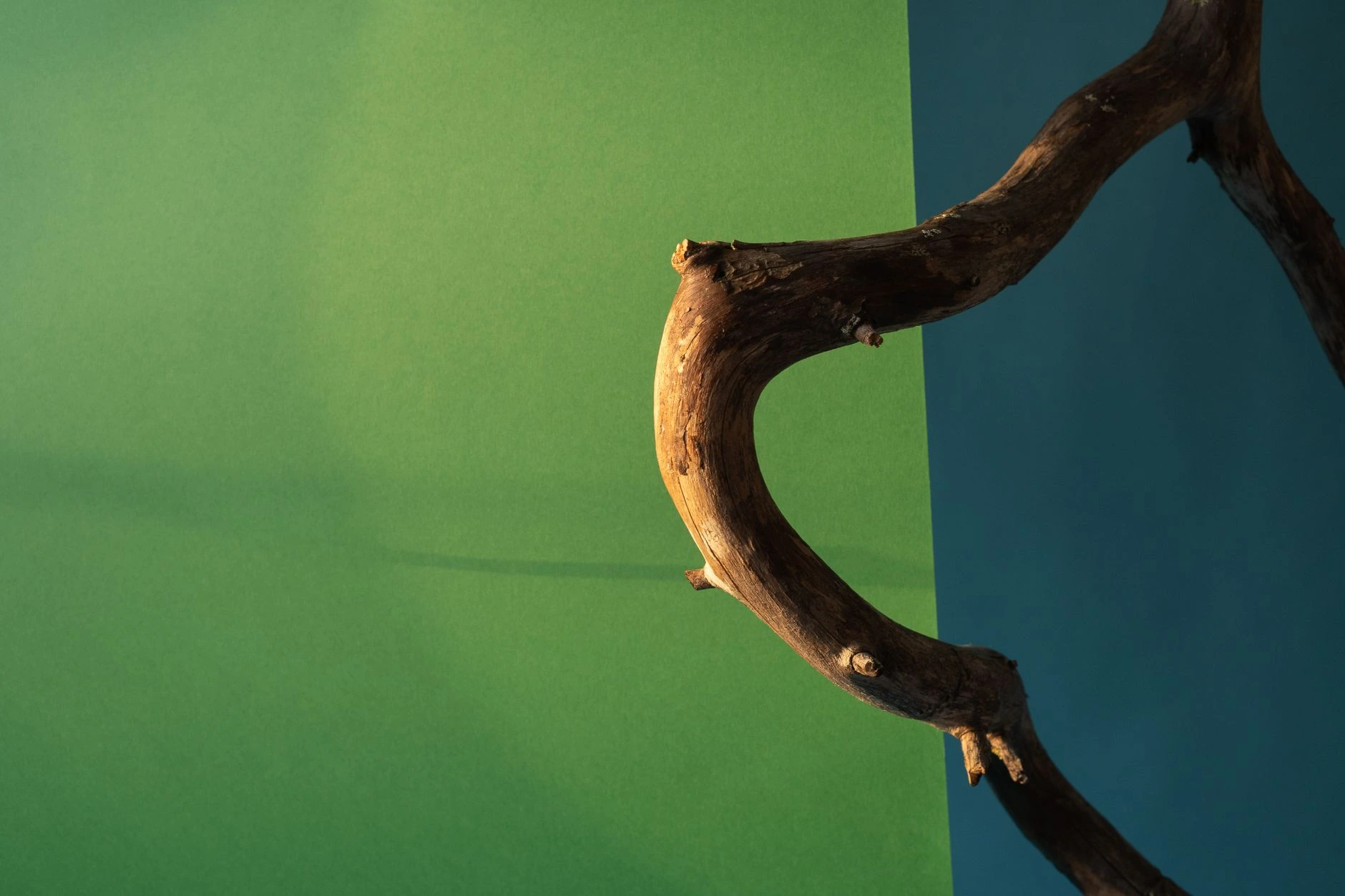 nature design inspiration